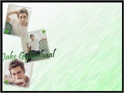 serca, Jake Gyllenhaal, biała koszulka